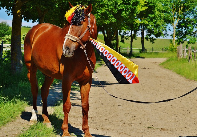 更是身体健 更是身体健