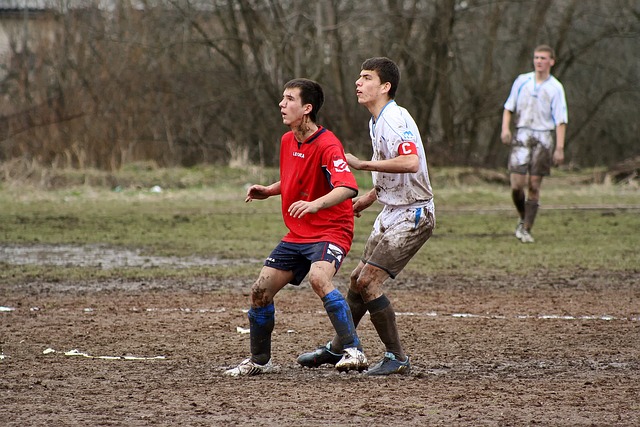 它还让球员 它还让球员