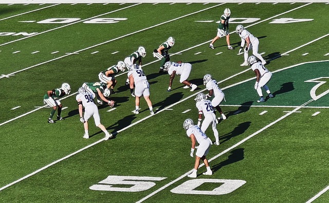 规则的存在 规则的存在