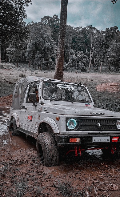 回看国米近 回看国米近