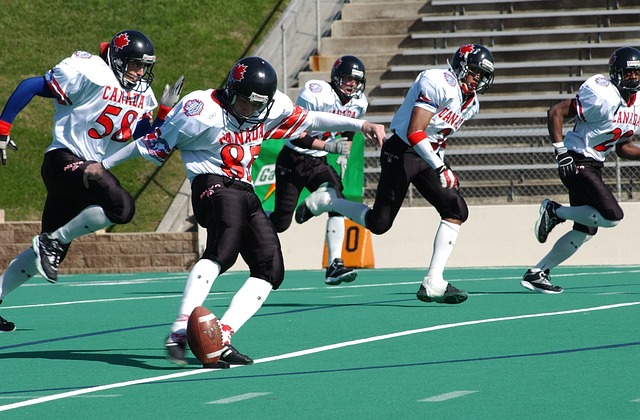 特朗普政府 特朗普政府